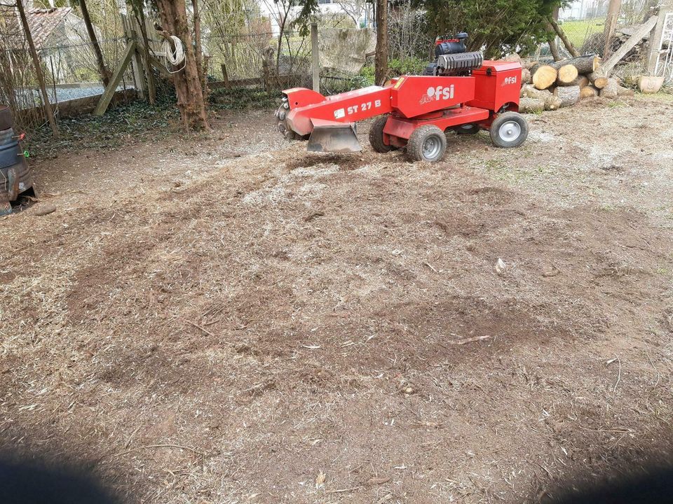 Vertikutierer Rasenlüfter Rasenwalze Baumaschinen  Rüttelplatten in Bad Driburg