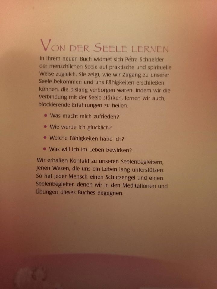 Buch "Die Seele verstehen"und in Besigheim