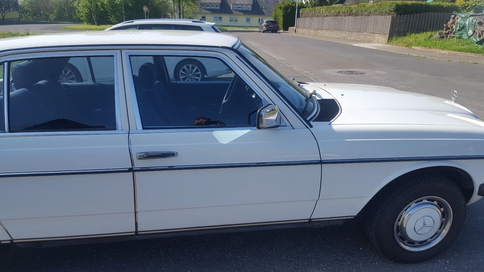 Mercedes W123 280 E Automatik in Brücken (bei Birkenfeld)