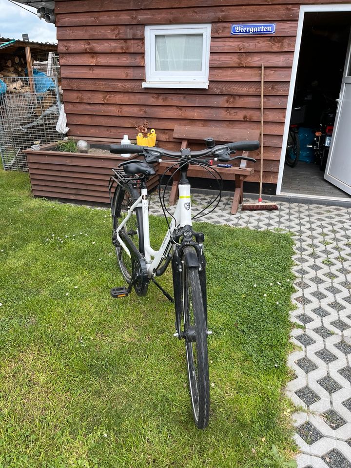 Damen Fahrrad in Neukieritzsch