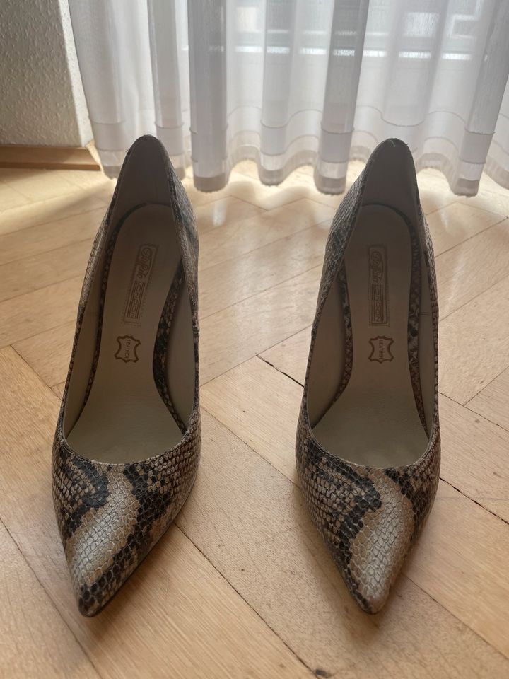 Buffalo London Pumps in Essen