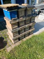 Ablegerkästen Bienen Nordrhein-Westfalen - Detmold Vorschau