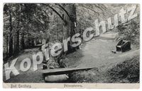 Ansichtskarte Bad Harzburg - Philosophenweg 1908 Brandenburg - Eberswalde Vorschau