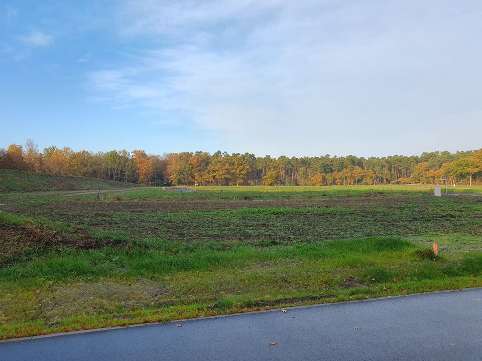 Inkl. Grundstück, nicht nur wohnen, sondern leben. Ihre Stadtvilla in Hodenhagen. in Hodenhagen