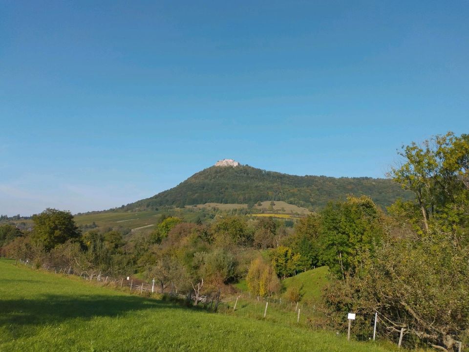 Wiese, Garten, Streuobstwiesen in Neuffen in BadenWürttemberg