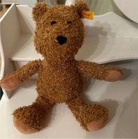 Steiff Teddybär Teddy Bär Jan Nordrhein-Westfalen - Niederkassel Vorschau