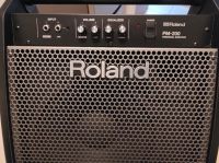 Roland PM-200 Personal Monitor Baden-Württemberg - Mannheim Vorschau