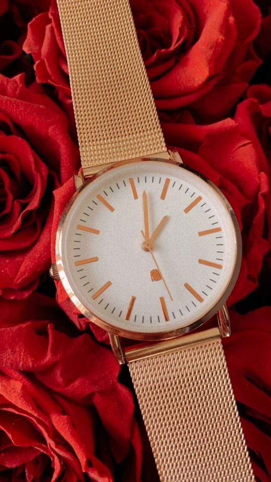 Uhr Armbanduhr Armband Wellington Style Roségold Scandi in Liederbach