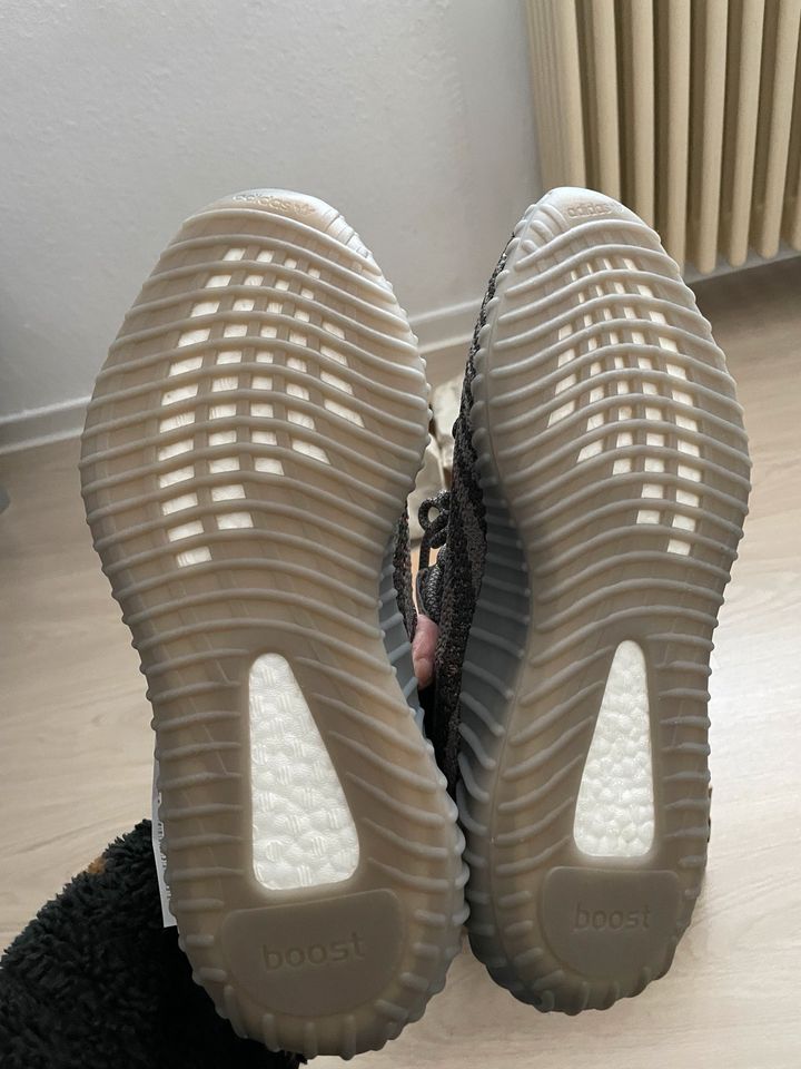 Yezzy Boost 350 V2 in Calw