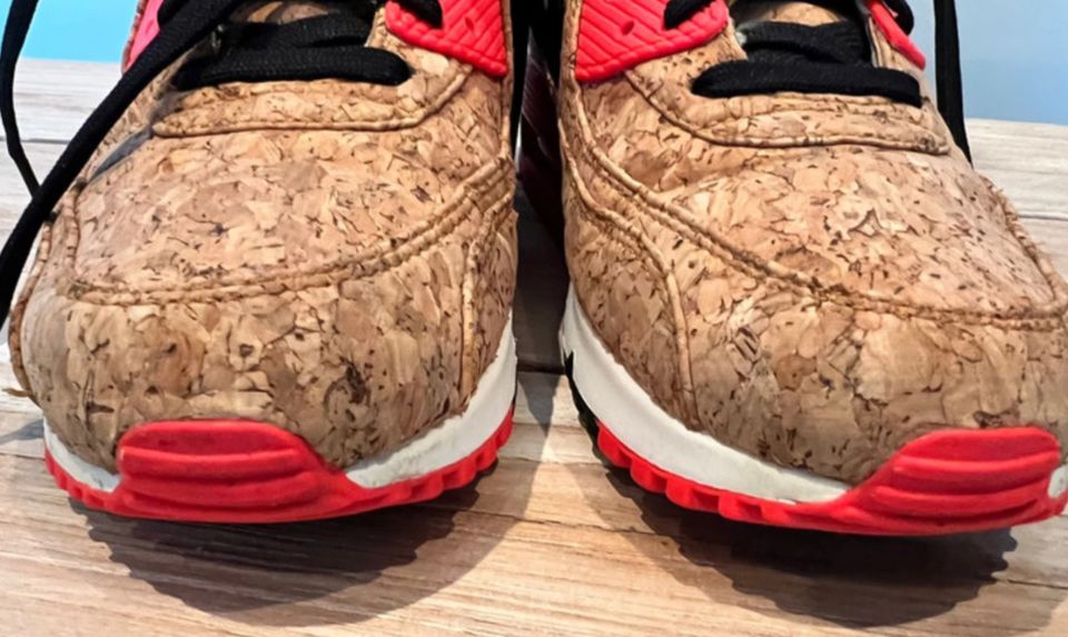 Nike Air Max 90 Cork in Tübingen