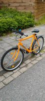 Fahrrad Rad Bike Schleswig-Holstein - Flensburg Vorschau