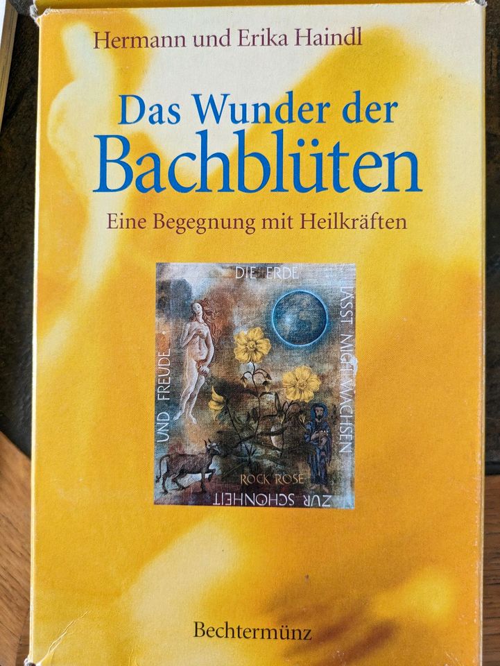 Bachblüten Buch und Meditations-Karten in Box / Erika Haindl in Vechelde