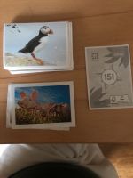 Rewe Was ist was?! Sticker für Sammelalbum Disney zu verschenken Sachsen - Grüna (Sachsen) Vorschau