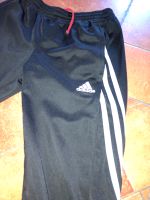 Sporthose Adidas Gr. 152 Nordrhein-Westfalen - Niederkassel Vorschau