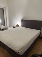 Box spring Bett grau mit Matratzen Innenstadt - Köln Altstadt Vorschau