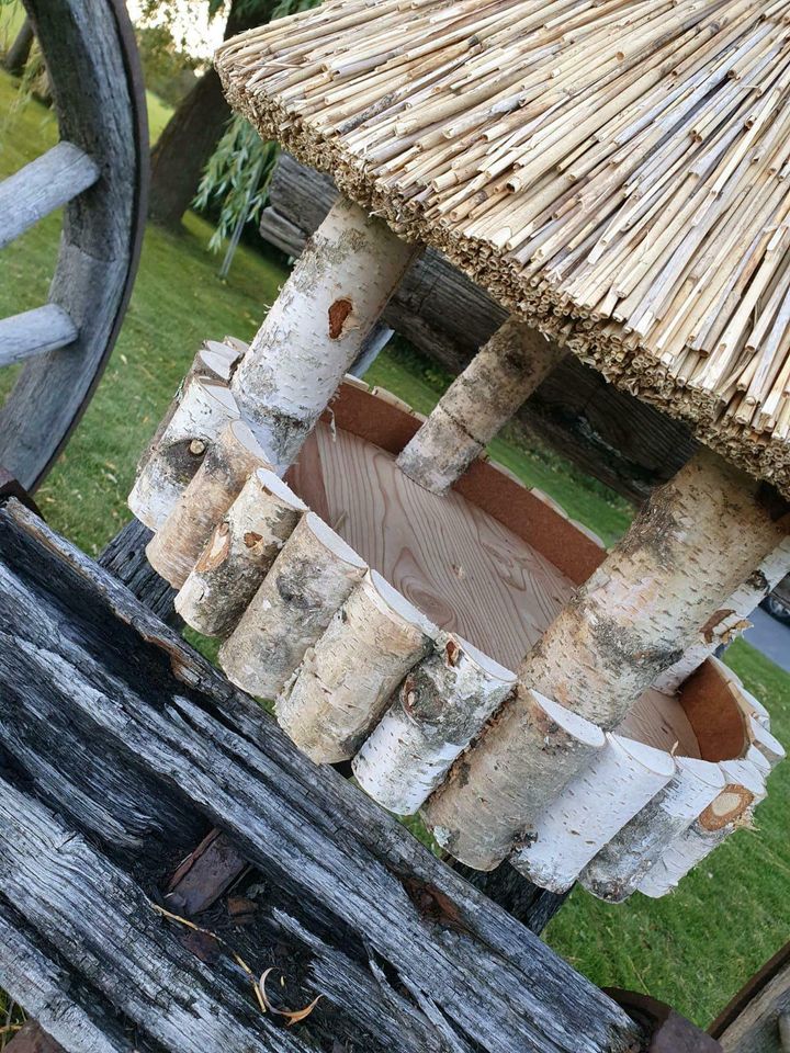 Reetdach Futterhaus Vogel Groß 60cm Handarbeit Birke Wetterfest in Rheda-Wiedenbrück