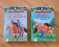 Die Pferde vom Friesenhof - 2 Bücher Sachsen - Dennheritz Vorschau