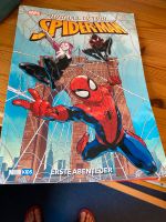 Spiderman Comic Bayern - Haßfurt Vorschau