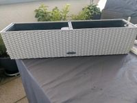 Lechuza Balconera weiß 80cm Hessen - Hattersheim am Main Vorschau