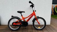 Puky 16 Zoll Kinderfahrrad Nordrhein-Westfalen - Gladbeck Vorschau