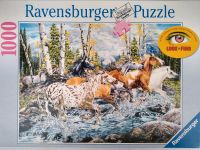 1000 Ravensburger Puzzle Pferde Suchbild Look Find Wald Birken Hamburg-Nord - Hamburg Hohenfelde Vorschau