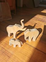Ostheimer Elefanten Rarität, Familie, Bulle mit Stoßzähnen Hessen - Marburg Vorschau