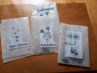 Samen Saatgut seeds Ritterstern Studentenblumen Japan-Anemone Bayern - Fürstenfeldbruck Vorschau