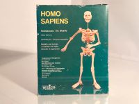 HOMO SAPIENS  in 3D Holzbausatz Weico Art. 80330 Niedersachsen - Sassenburg Vorschau
