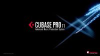 Steinberg Cubase Pro 11 DAW Software mit eLicenser USB Stick Niedersachsen - Barwedel Vorschau