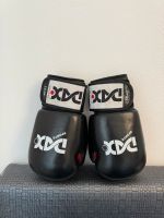 DAX Boxhandschuhe 10 oz Bayern - Fürth Vorschau