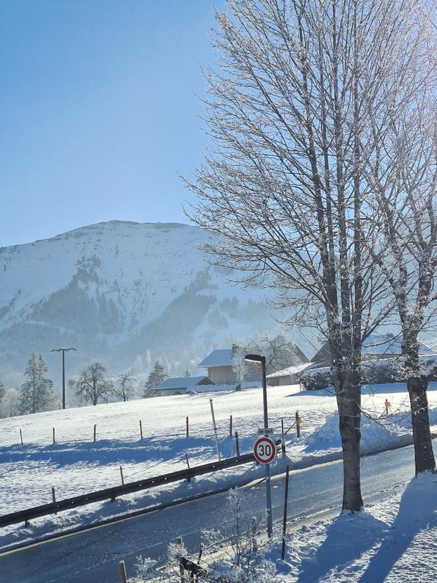 Toller Panorama Bergblick - helle renovierte 3-Zimmer Wohnung in Oberstaufen - Steibis zu verkaufen in Oberstaufen