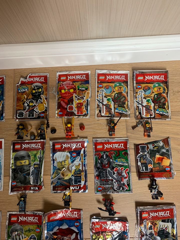 21 Figuren LEGO Ninjago- Limited Edition in Südlohn