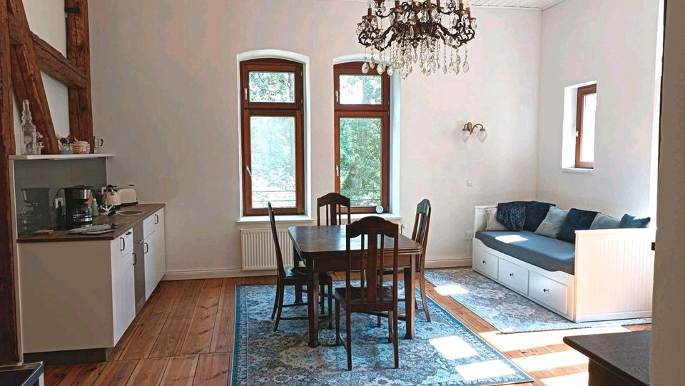 Urlaubsappartement, FeWg im Herrenhaus, Gutshaus, Hund, Massage in Grevesmuehlen