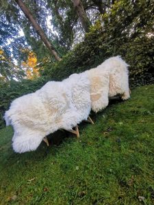 Schaf Fell Lamm  Kleinanzeigen ist jetzt Kleinanzeigen