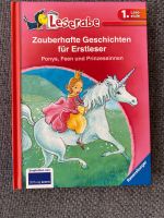 Lesrabe zauberhafte Geschichten Ponys, Feen und Prinzessinnen Baden-Württemberg - Benningen Vorschau