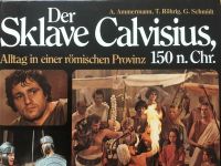 Der Sklave Calvisius Ammermann Röhrig Schmidt römische Provinz Schleswig-Holstein - Großhansdorf Vorschau