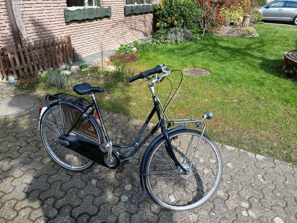 Gazelle Hollandrad Fahrrad Damenrad  RH 54 in Essen