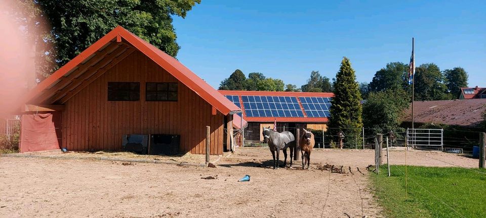 Mehrfamilienhaus mit Pool, wohnen mit Pferd, Gutshof, Landhaus in Konnersreuth