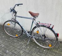 Puch Free Spirit Fahrrad Nordrhein-Westfalen - Verl Vorschau