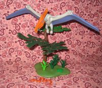 Playmobil - Flugsaurier - Playmobil Pteranodon 4173 von 2006 Niedersachsen - Pollhagen Vorschau