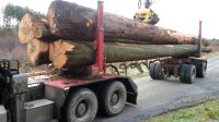 Holzfahrer sucht  Stelle im  Holztransport mit Ladekran Nordrhein-Westfalen - Gummersbach Vorschau