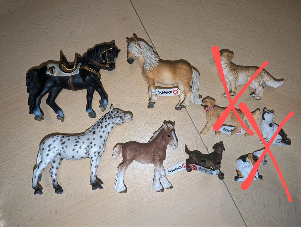 Schleich Pferde Hunde Katzen Weihnachten Geschenk in Gladenbach