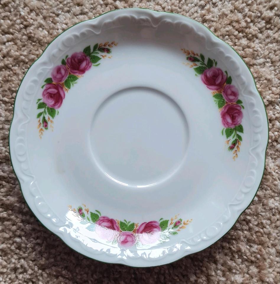 Bavaria Kaffeeservice "Mitterteich" rosa Rosen mit grünem Rand in Itzehoe