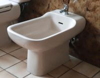 Vintage Stand-Bidet bahamabeige, Ideal-Standard Hessen - Aßlar Vorschau