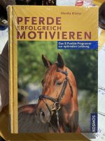 Pferd Sachbücher Ausbildung und Verhalten Roberts Nordrhein-Westfalen - Paderborn Vorschau