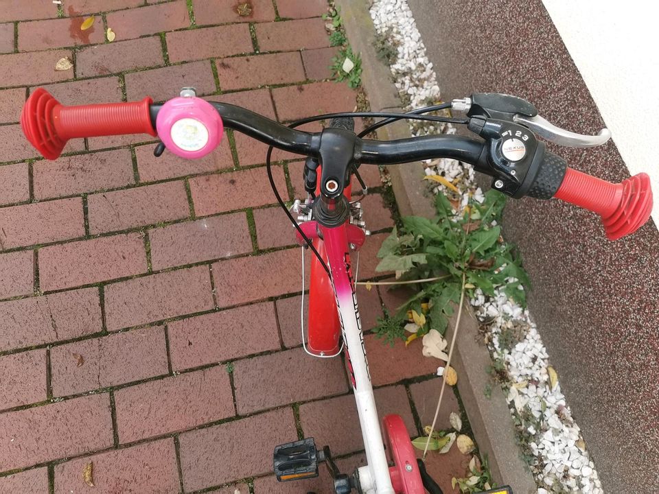 Pegasus Kinderfahrrad in Stein