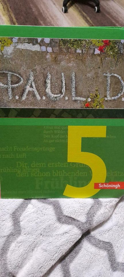 P.A.U.L.D. ISBN 978-3-14-028001-3 in Zweibrücken
