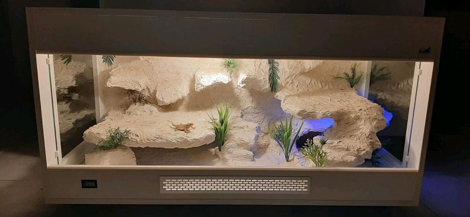 Terrarium Reptilien 120x60x60 in Hamburg