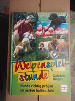 Welpenspielstunde / Hunde richtig prägen/ G. Niepel Bayern - Vilgertshofen Vorschau