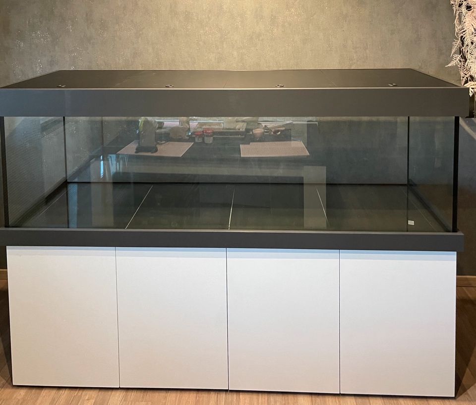 Aquarium Kombination 160x60x60cm 576Liter in vielen Dekoren NEU! in Dortmund